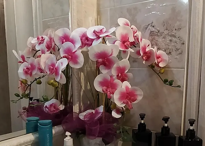 度假居 Ribero's - Center - Quite Zone 圣雷默